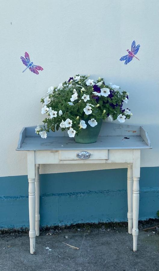 Farm Stay Property Pets And Families Welcome Rossnowlagh Exterior foto