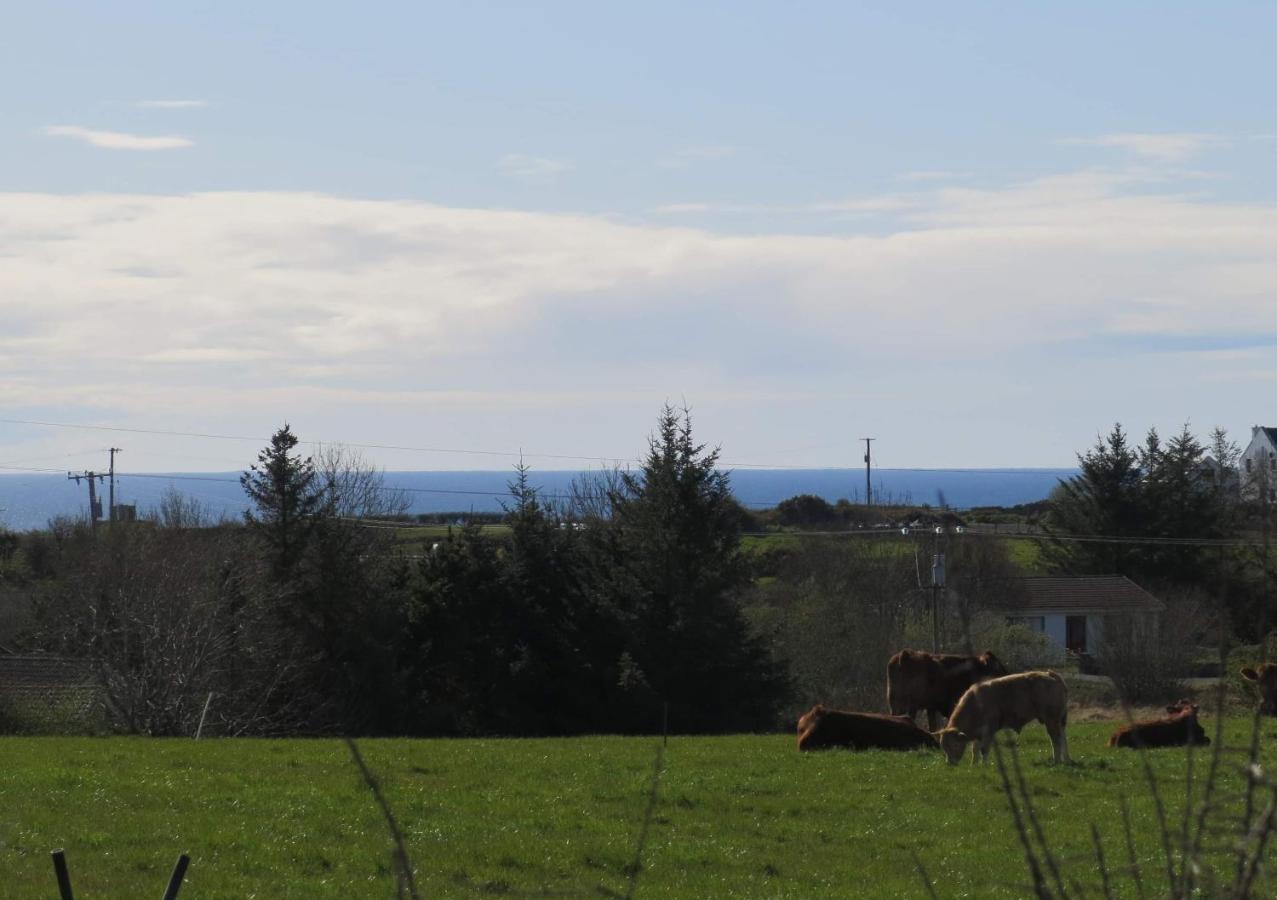 Farm Stay Property Pets And Families Welcome Rossnowlagh Exterior foto