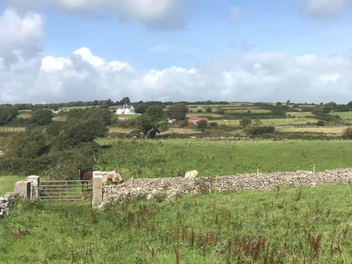 Farm Stay Property Pets And Families Welcome Rossnowlagh Exterior foto